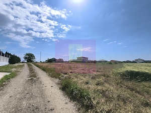 Teren pentru 2-3 case lângă București - Localitatea 1 Decembrie Ilfov - imagine 5