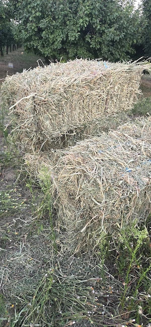 Baloti de lucernă 