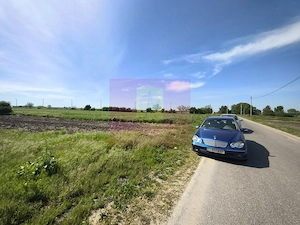 Teren pentru investiție Ilfov, în apropiere de București - imagine 2