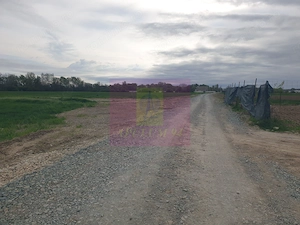Teren ideal dezvoltare imobiliară în Măgurele strada Atmosferei - imagine 14