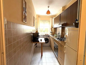 Apartament in zona Victor Babes - imagine 5