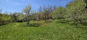Teren cu Casuta de lemn in Sotrile (langă Valea Doftanei) - imagine 4