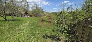Teren cu Casuta de lemn in Sotrile (langă Valea Doftanei) - imagine 10