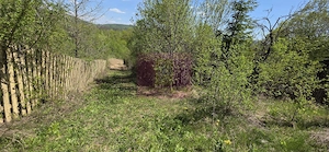 Teren cu Casuta de lemn in Sotrile (langă Valea Doftanei) - imagine 16