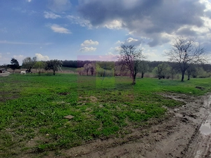 GIURGIU - SE VINDE TEREN 3400 MP IN SAT PODU ILFOVATULUI - imagine 7