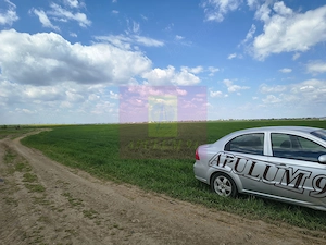 Poșta -Teren 12.450mp pretabil hală/rezidențial la 150ml de utilități - imagine 18