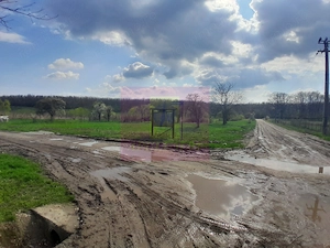 GIURGIU - SE VINDE TEREN 3400 MP IN SAT PODU ILFOVATULUI - imagine 6