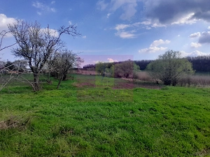 GIURGIU - SE VINDE TEREN 3400 MP IN SAT PODU ILFOVATULUI - imagine 11