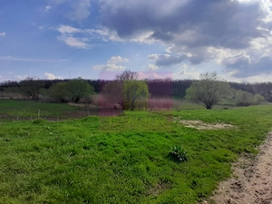 GIURGIU - SE VINDE TEREN 3400 MP IN SAT PODU ILFOVATULUI - imagine 10
