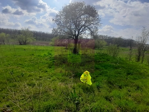 GIURGIU - SE VINDE TEREN 3400 MP IN SAT PODU ILFOVATULUI - imagine 17