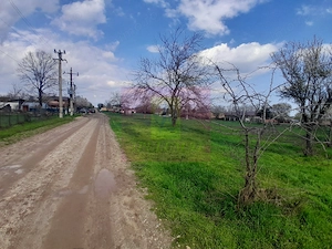 GIURGIU - SE VINDE TEREN 3400 MP IN SAT PODU ILFOVATULUI - imagine 8