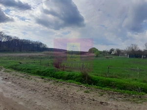 GIURGIU - SE VINDE TEREN 3400 MP IN SAT PODU ILFOVATULUI - imagine 14