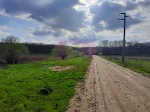 GIURGIU - SE VINDE TEREN 3400 MP IN SAT PODU ILFOVATULUI - imagine 12