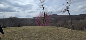 Teren intravilan 2200 mp de vanzare in Valea Doftanei - imagine 4