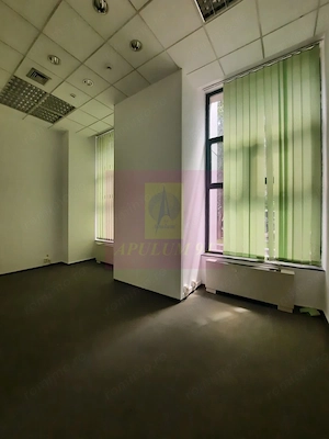 Inchiriere spatiu comercial bd Unirii, vitrina 25ml, stradal - imagine 3