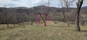 Teren intravilan 2200 mp de vanzare in Valea Doftanei - imagine 3