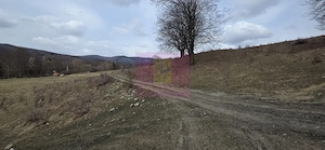 Teren intravilan 2200 mp de vanzare in Valea Doftanei - imagine 5