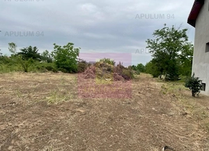Teren Domnesti- Mega Image. - imagine 3