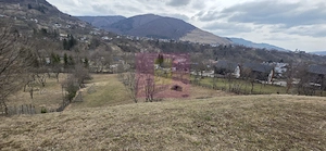 Teren intravilan de vanzare in Valea Doftanei - imagine 3