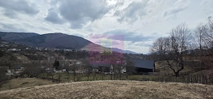 Teren intravilan de vanzare in Valea Doftanei - imagine 9
