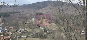 Teren intravilan de vanzare in Valea Doftanei - imagine 10