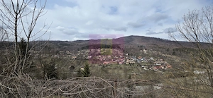 Teren intravilan de vanzare in Valea Doftanei - imagine 8