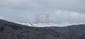 Teren intravilan 2200 mp de vanzare in Valea Doftanei - imagine 7