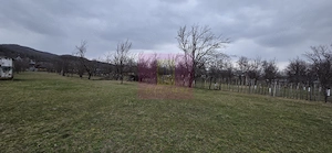 Teren 734 mp intravilan de vanzare in Brebu - imagine 5
