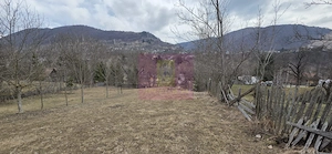 Teren intravilan de vanzare in Valea Doftanei - imagine 6