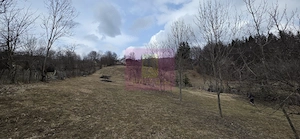Teren intravilan de vanzare in Valea Doftanei - imagine 7