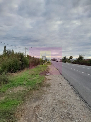 COSERENI (IL) - SE VINDE TEREN 2000 MP LA SOS BUCURESTI -URZICENI - imagine 2