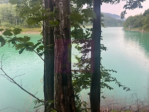 Teren cu deschidere la lac – Valea Doftanei, Prahova - imagine 7