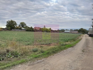 COSERENI (IL) - SE VINDE TEREN 2000 MP LA SOS BUCURESTI -URZICENI - imagine 6