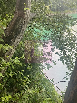 Teren cu deschidere la lac – Valea Doftanei, Prahova - imagine 11