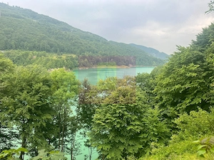 Teren cu deschidere la lac – Valea Doftanei, Prahova - imagine 10