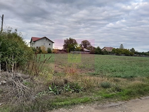 COSERENI (IL) - SE VINDE TEREN 2000 MP LA SOS BUCURESTI -URZICENI - imagine 5