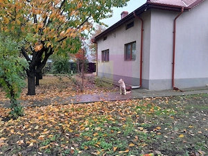 ILFOV - SE VINDE CASA IN ISLAZ / COM. BRANESTI - imagine 6