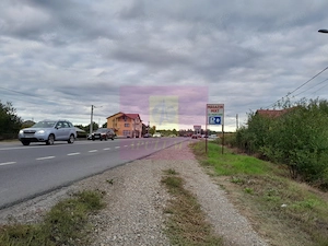 COSERENI (IL) - SE VINDE TEREN 2000 MP LA SOS BUCURESTI -URZICENI - imagine 8