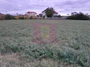 COSERENI (IL) - SE VINDE TEREN 2000 MP LA SOS BUCURESTI -URZICENI - imagine 13