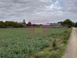 COSERENI (IL) - SE VINDE TEREN 2000 MP LA SOS BUCURESTI -URZICENI - imagine 9
