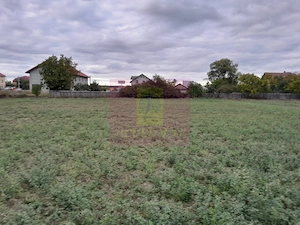 COSERENI (IL) - SE VINDE TEREN 2000 MP LA SOS BUCURESTI -URZICENI - imagine 10
