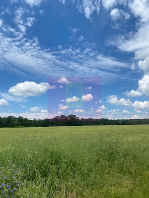 Teren 6,26 ha lângă DEx12 Pitești - imagine 6