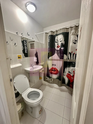 Spatiu comercial-Calea Rahovei-Sebastian- Petre Ispirescu - imagine 5