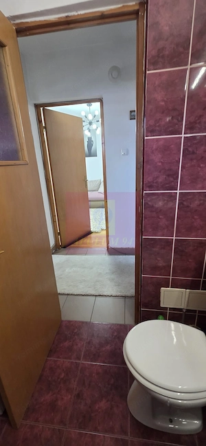 Apartamnet cu 2 cmere de vanzare in Campina - imagine 17
