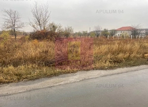 Teren Soseaua Alexandriei- Pasarela Bragadiru. - imagine 3