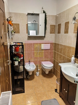 Apartament 3 camere de vanzare in Busteni 5 min partia Kalinderu - imagine 10