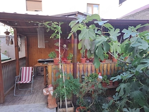 Casa de vanzare in Bragadiru - imagine 15