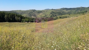 Teren intravilan de vanzare in Breaza (dezvoltare imobiliara) - imagine 2