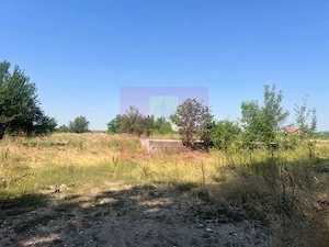 Teren Clinceni- Ordoreanu- langa Dig. - imagine 3