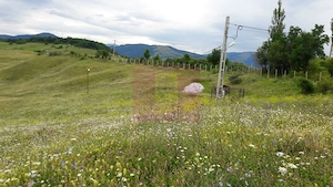 Teren intravilan de vanzare in Breaza (dezvoltare imobiliara) - imagine 4